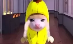 杨家将演义春节活动隐藏成就