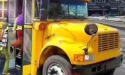 烟花大作战用什么老鼠