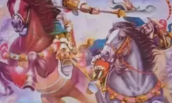 杨家将演义任金童的回忆