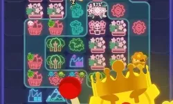 夜幕行动地块简介