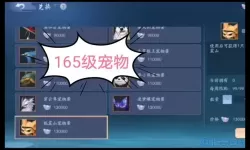 笑傲江湖165级宠物选什么