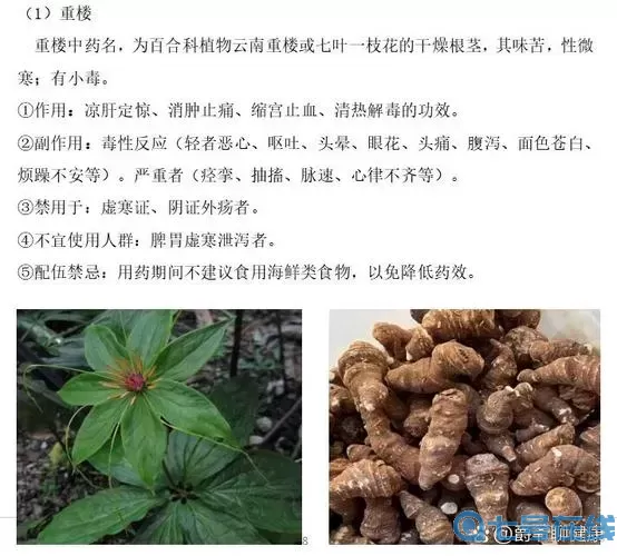 重楼的功能与主治
