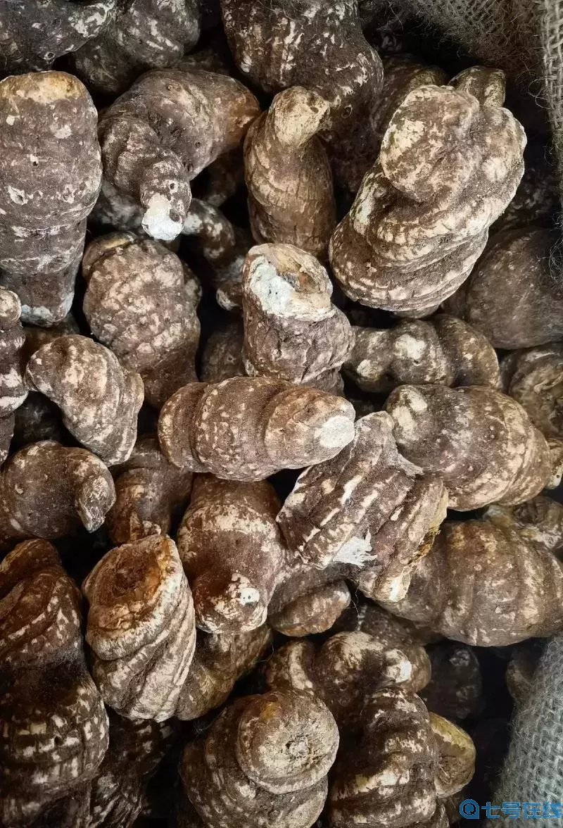 云南十大名贵药材