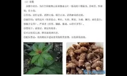 重楼的功能与主治