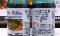 笑傲江湖ol华山土伤还是冰伤