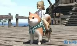 ff14坐骑怎么召唤