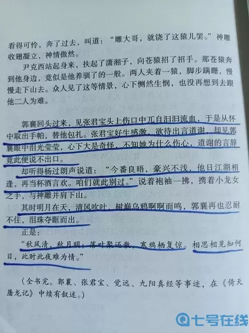 九阳真经网站去哪里了