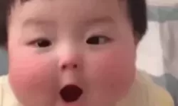 梅退之为啥要扮冷一夫