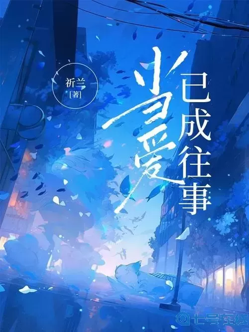 他的不良少年小说免费阅读无弹窗