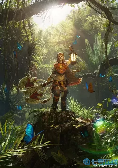 ff14哪个种族胸大