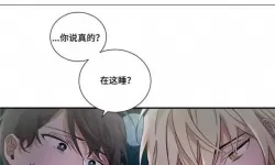 男男车车好快的车车动漫软件