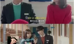 被不良少年盯上第二季演员表