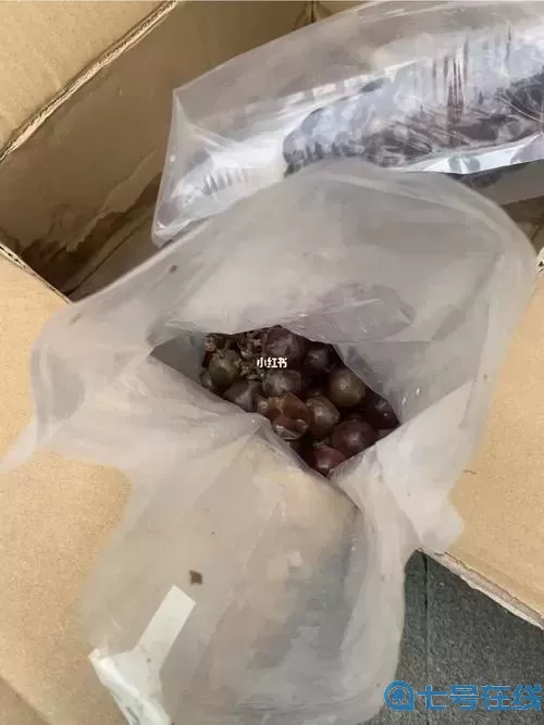 葡萄不能夹烂了也不能掉出来