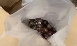 葡萄不能夹烂了也不能掉出来