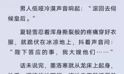 王爷不能撩小说全集免费阅读