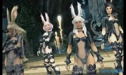 ff14女性喜欢哪个种族