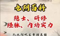 九阴少林经脉明教经脉
