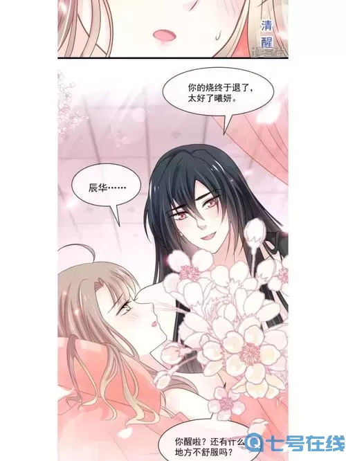 天下第一宠漫画免费阅读下拉式