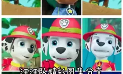 汪汪队中文版免费