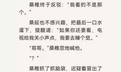 偷偷藏不住第二部全文免费阅读