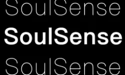 英雄联盟肉符文