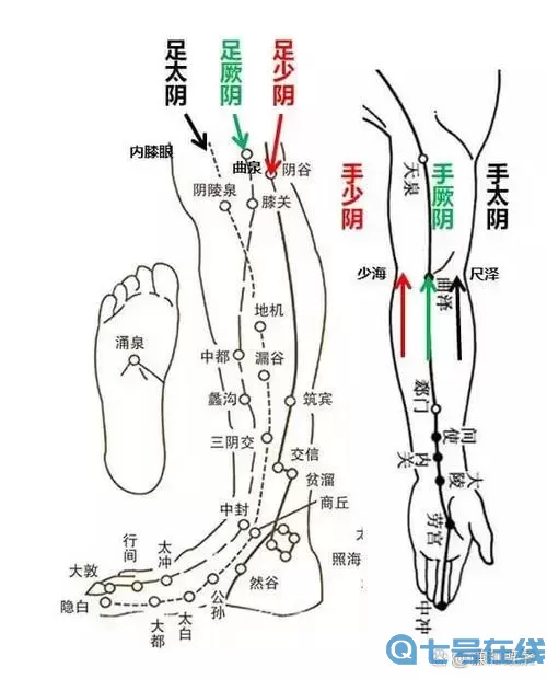 九阴真经外功经脉