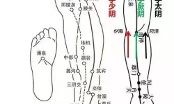 九阴真经外功经脉