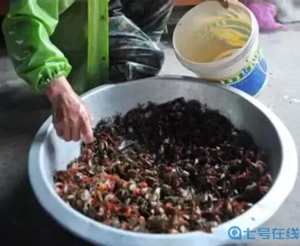 500元一斤以上药材