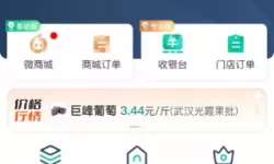 九阴真经经脉满层