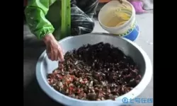 500元一斤以上药材