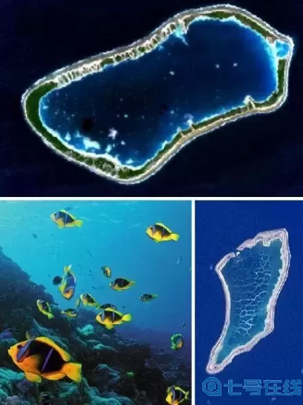 太平洋有多少无人岛