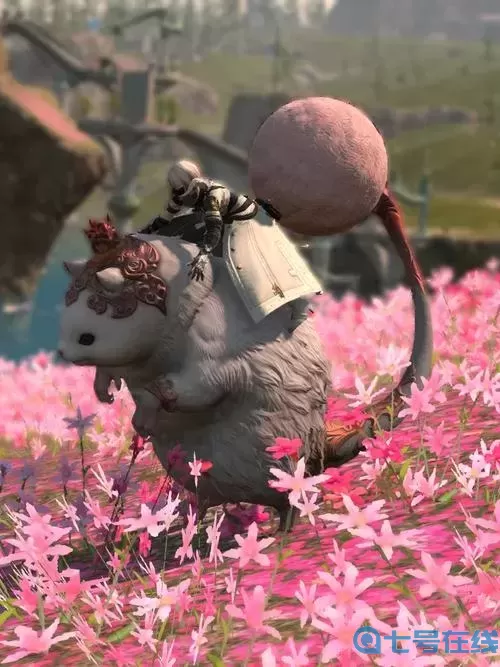 ff14免费双人坐骑有哪些