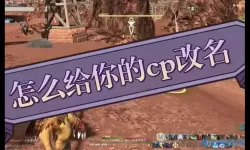 ff14陆行鸟竞赛如何培养