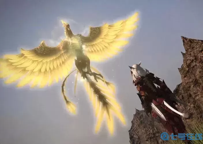 ff14有哪些多人坐骑