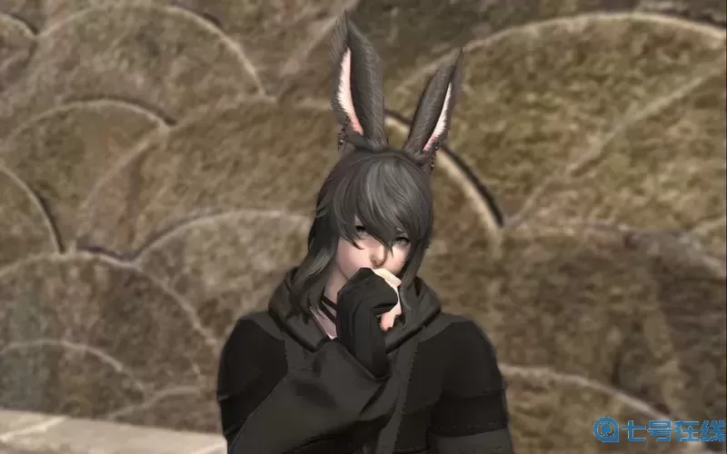 ff14咒术师黑魔法师