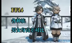 ff14种族与性取向的关系
