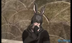 ff14咒术师黑魔法师