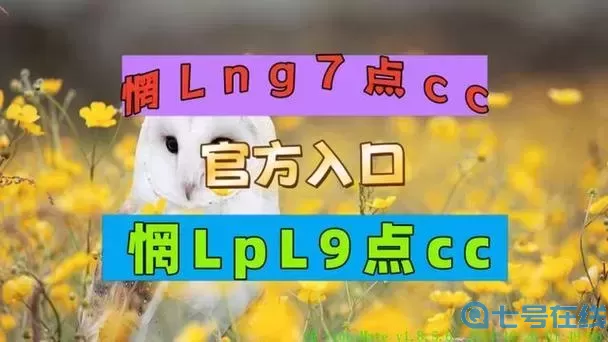 lol投注哪个最好用