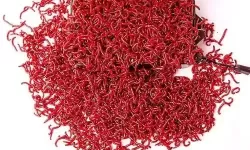 碧之轨迹钓鱼用不了红虫