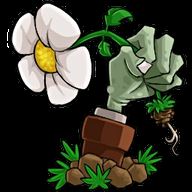 植物大战僵尸转基因版