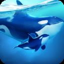 小小水世界(Worldof Water)