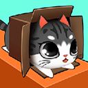 盒子里的猫